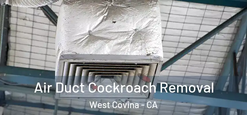  Air Duct Cockroach Removal West Covina - CA