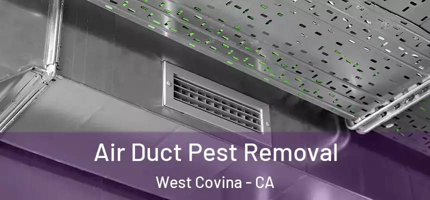 Air Duct Pest Removal West Covina - CA