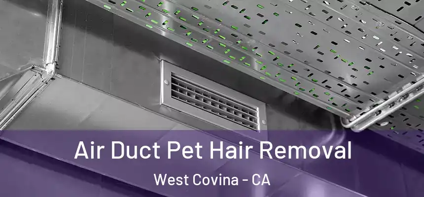 Air Duct Pet Hair Removal West Covina - CA