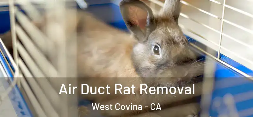 Air Duct Rat Removal West Covina - CA