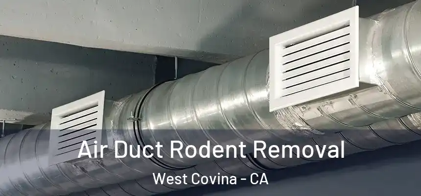 Air Duct Rodent Removal West Covina - CA