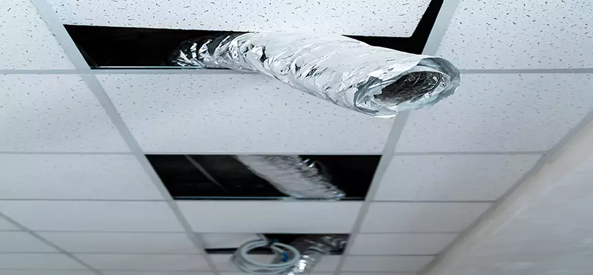 Our Air Duct Pet Hair Removal Services in West Covina, CA