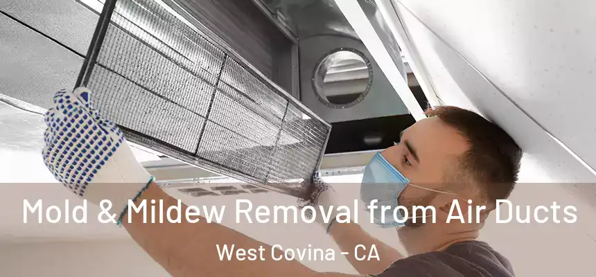  Mold & Mildew Removal from Air Ducts West Covina - CA