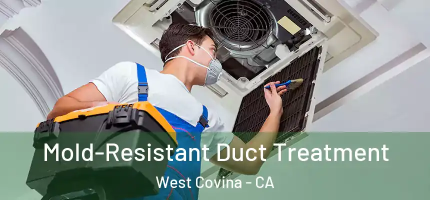Mold-Resistant Duct Treatment West Covina - CA