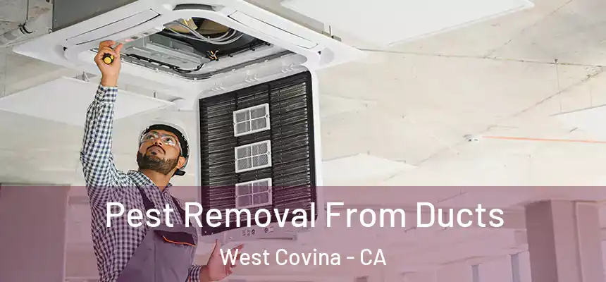  Pest Removal From Ducts West Covina - CA