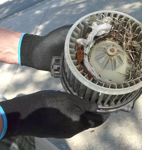 About Air Duct Mice Removal in West Covina, CA