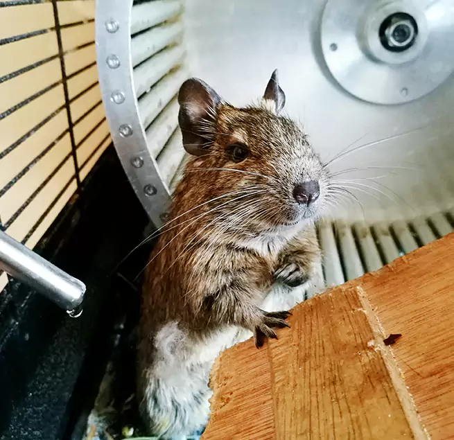 Why Homeowners & Businesses Trust Us West Covina, CA